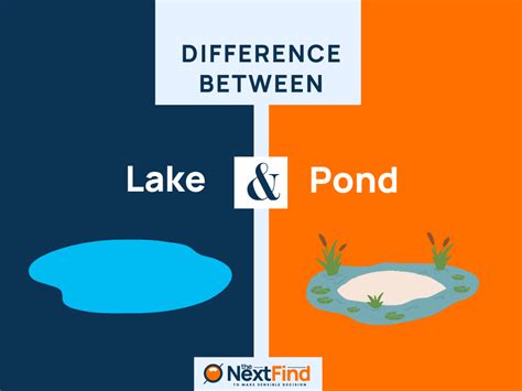 20+ Difference Between Lake And Pond (Explained)