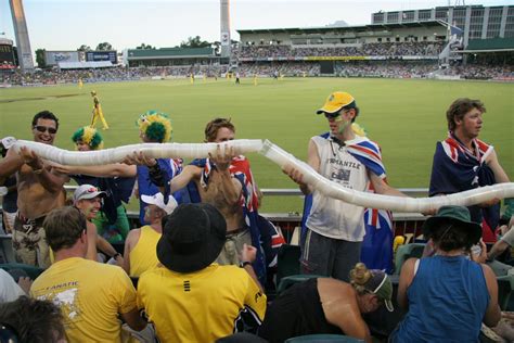 Beer Cup Snake - Plastic Recycling at Cricket | The Travel Tart Blog | Beer cup, Crickets funny ...