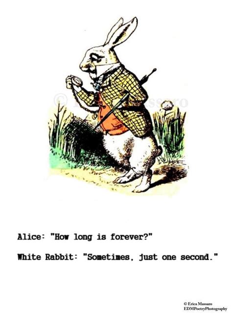 Alice In Wonderland Rabbit Quotes. QuotesGram