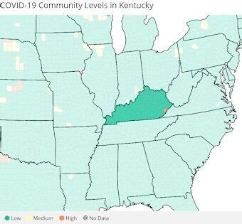 COVID cases decline in Kentucky; U.S. deaths hit 1.1 million ...