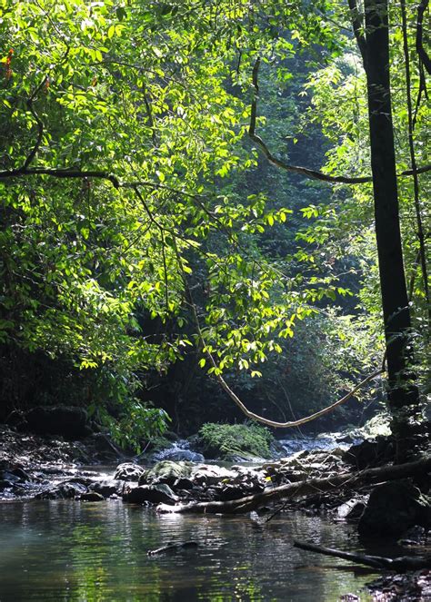 3 Things to Do—and 3 Not to Do—When Hiking in Khao Sok National Park