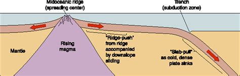 Plate Tectonics Quiz #2 Study Guide