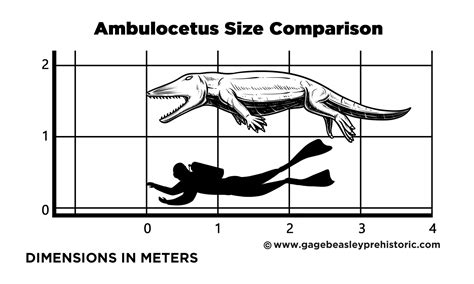 An Ultimate Guide to Ambulocetus: The Walking Whale