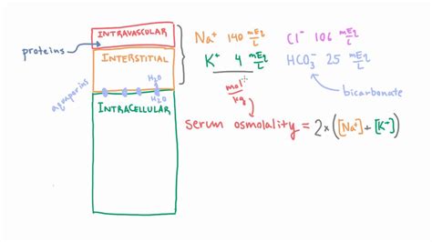 Estimating Serum Osmolality using a Simple Formula - YouTube