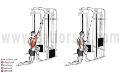 The Close Grip Lat Pulldown Exercise Guide - SET FOR SET