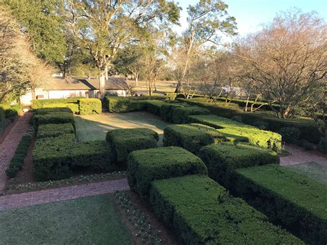 Oak Alley Plantation - Go Wandering