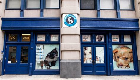 Best Friends Animal Society Unveils Its No-Kill Shelter in New York City