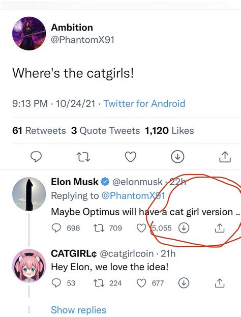 Elon Musk tweeted about Cat Girl! : r/catgirlcoin