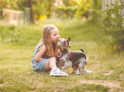 What Spending Time With Animals Can Teach Us About Empathy