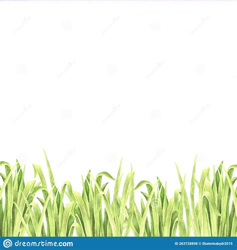 Square Template for Text with a Pattern of Grass at the Bottom ...