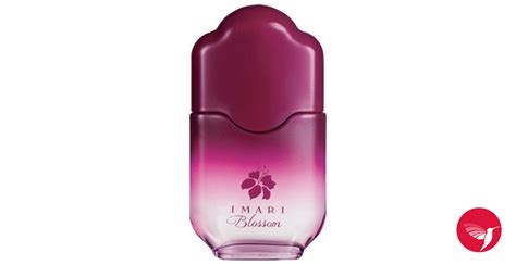 Imari Blossom Avon perfume - a fragrance for women 2013