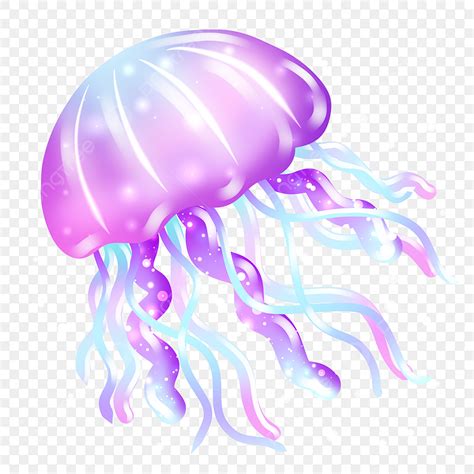 Jellyfish Cartoon PNG Transparent, Beautiful Jellyfish Cartoon Illustration, Jellyfish Clipart ...