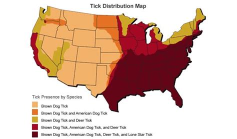 So What About Ticks?