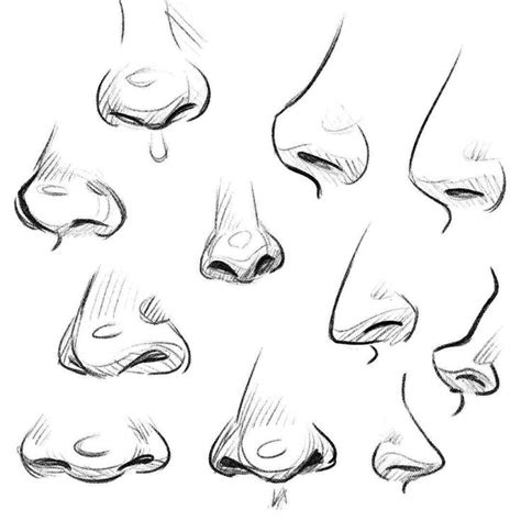 Pin on Draw Anat:Noses