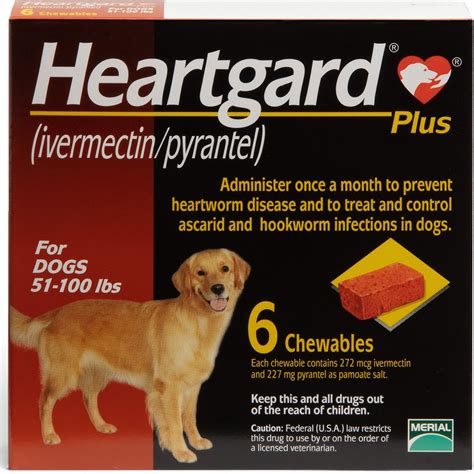 Best 12 Prescription Heartworm Prevention Reviews – Pet Life Here