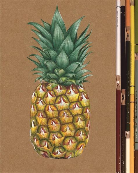 Pin by Jocelyn Renteria on Art | Fruits drawing, Pineapple drawing ...