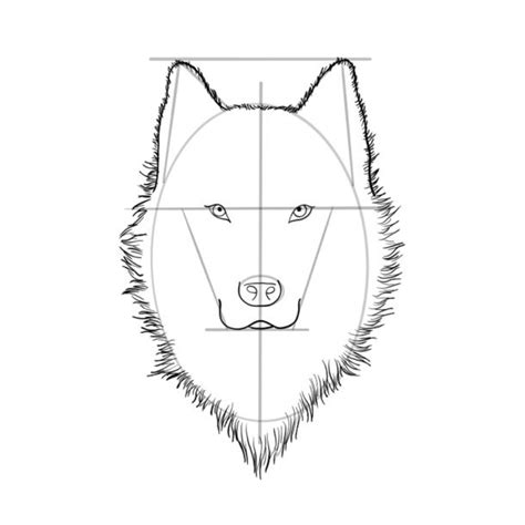 How to Draw a Wolf Head – A Guide That Makes Wolf Drawing Easy