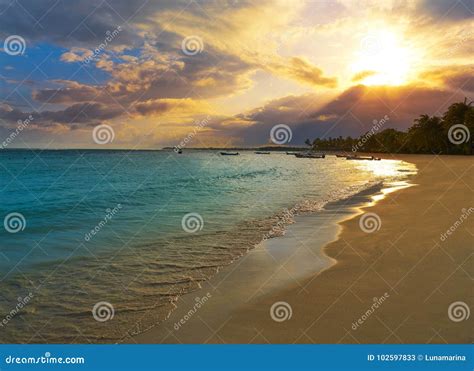 Akumal Beach in Riviera Maya of Mexico Stock Image - Image of american ...