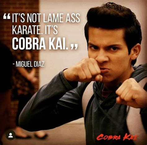 546 Me gusta, 9 comentarios - Timothy (@cobrakai_series) en Instagram ...