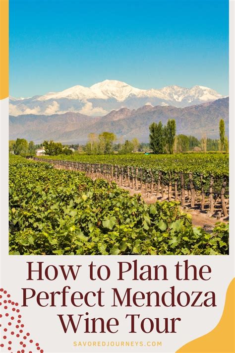 How to Plan the Perfect Mendoza Wine Tour - Savored Journeys