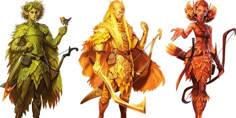 What Are The Different Types Of Elves In D&D