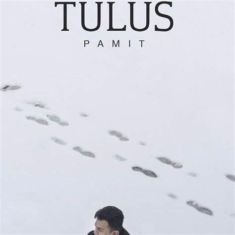 Stream PAMIT - TULUS (Cover) by PangeranMudaPM | Listen online for free ...