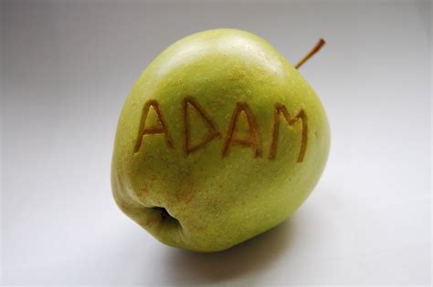 questmark: Adam's apple