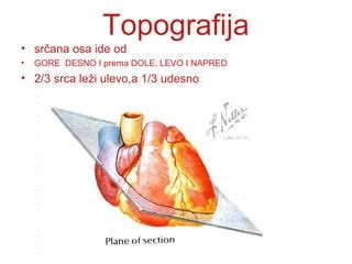 Anatomija srca | PPT