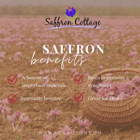 Saffron Benefits - Malaysia Free Classified