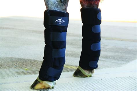 Best Ice Boots For Horses - Best Horse Gears