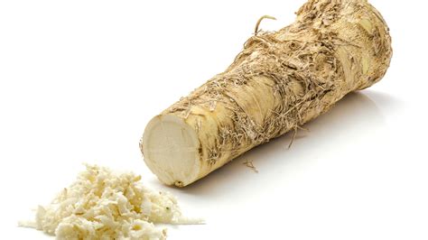 ARCHAEOLOGY OF HERBS & SPICES - Horseradish - Chef's Mandala