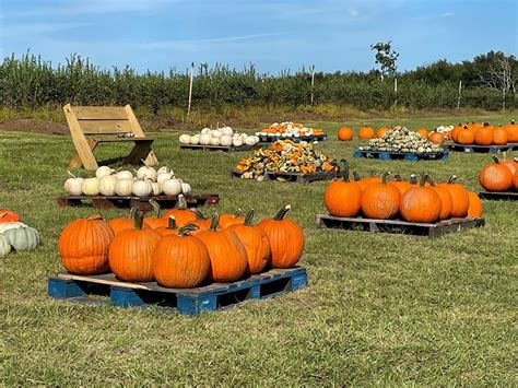 2022 Lake County Farm Tour, UF/IFAS Lake County Extension, Tavares, 18 November 2022