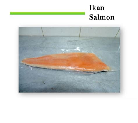 Salmon, Ikan dengan berbagai manfaat | Supplier Distributor Daging Sapi | Jual Daging Sapi ...