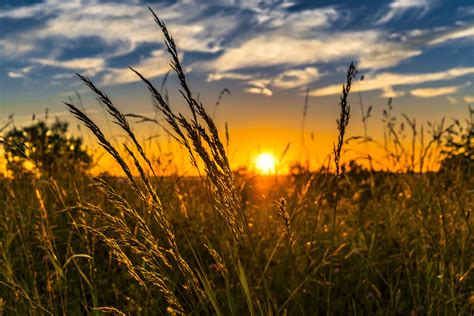 Meadow At Sunset Wallpapers - Wallpaper Cave