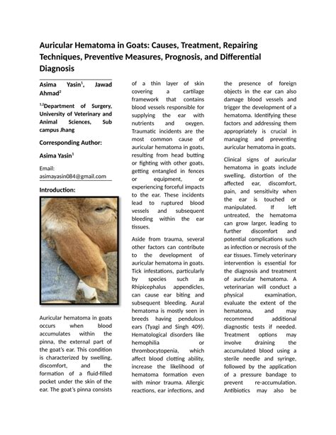 (PDF) Auricular Hematoma in Goats: Causes, Treatment, Repairing Techniques, Preventive Measures ...