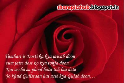 Lovely Dosti Shayari in Hindi With Image | Friendship Shayari in Hindi ...