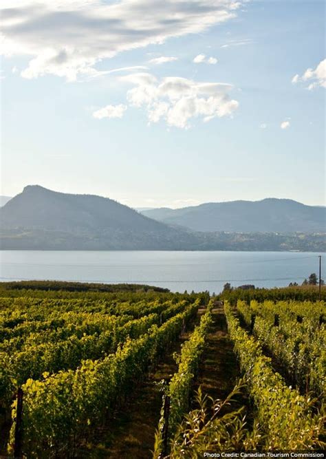 Inside the Location: The Beauty Of The Okanagan Valley In The Fall