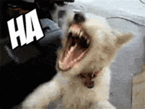 Laughing Dog Meme Scary Dog Laughing GIF - Laughing Dog Meme Scary Dog ...