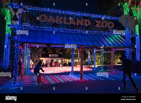 Annual zoo lights hi-res stock photography and images - Alamy