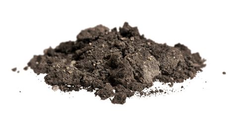 "Black Soil" Images – Browse 13,253 Stock Photos, Vectors, and Video ...