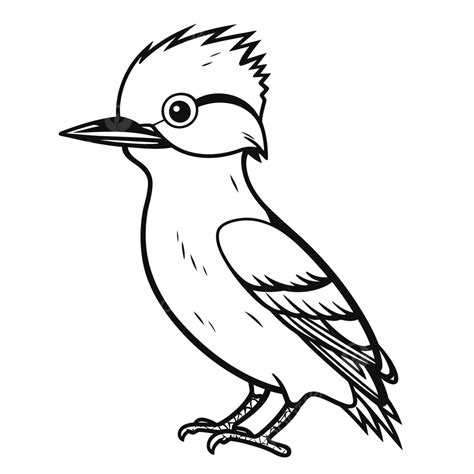 Kookaburra Kookaburra Bird Coloring Pages Printable Bird Template ...