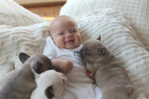 Puppies & Babies—The Cuddle Factor!