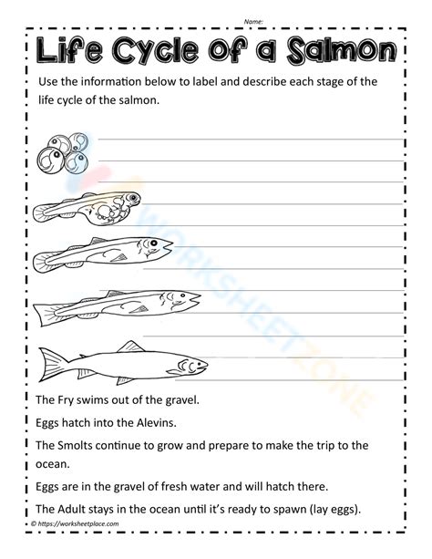 Free Printable & Interactive Fish Life Cycle Worksheets