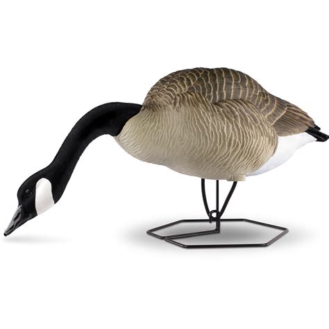 NEW FULL BODY GOOSE DECOYS - Explore BeaverTailExplore BeaverTail