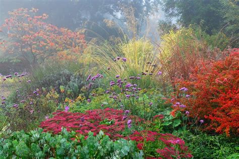 Beth Chatto gardens in October 2014 | Garden inspiration, Beautiful gardens, Landscape design