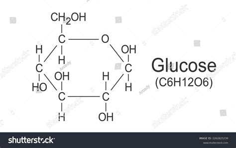 Chemical Formula Glucose Vector Glucose Molecule Stock Vector (Royalty Free) 2262825239 ...