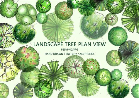 Buy Landscape Tree Planarchitectural Illustration Tree Plan View PNG ...