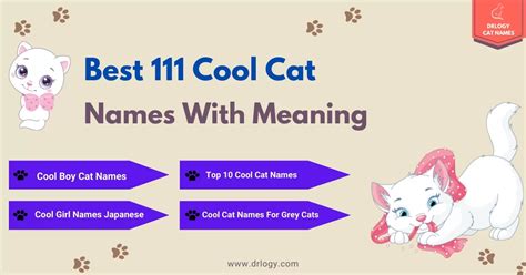 111 Best Female Cat Names With Meaning - Drlogy Cat Names