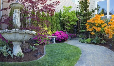 Decorative Evergreen Trees For Landscaping | Shelly Lighting