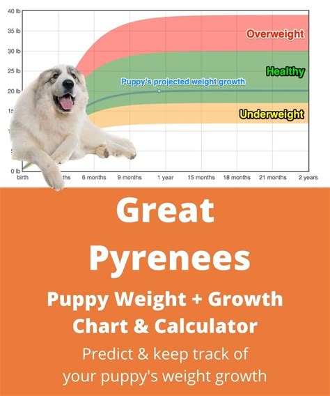 Great Pyrenees Growth Chart